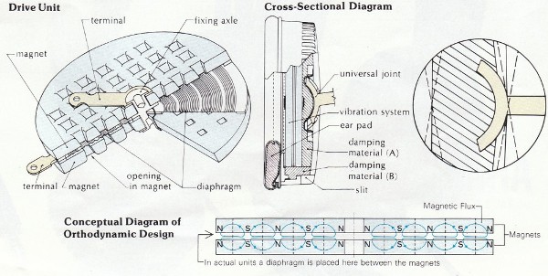 Orthodynamics