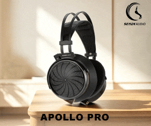 The ESW9-LTD Headphone by Audio Technica — Headfonics