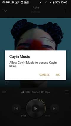 Cayin N8ii Review