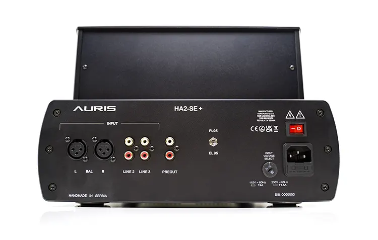 Auris HA-2SE+ amplifier rear panel