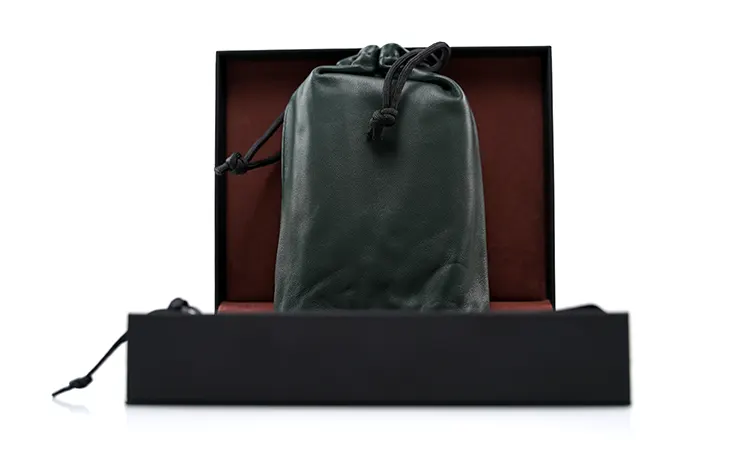 iBasso D16 Taipan green leather pouch in box