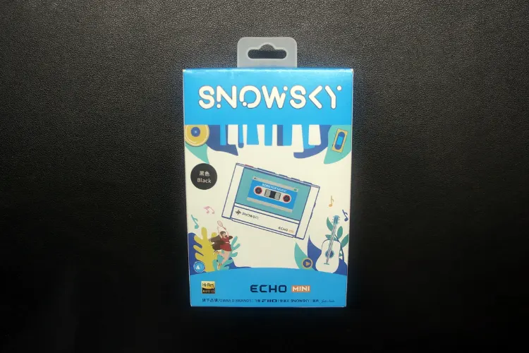 FiiO SNOWSKY ECHO MINI box