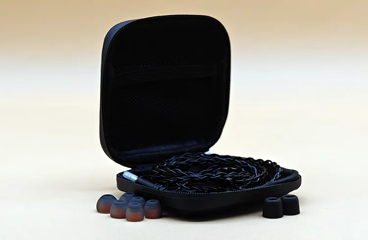 ZiiGaat Arcanis ear tips cable and case