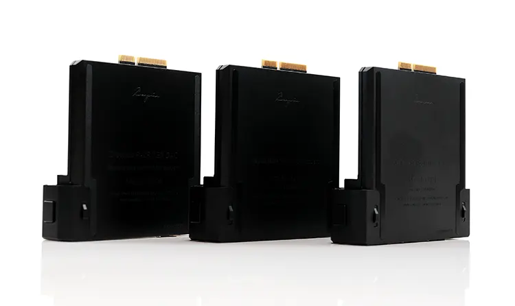 Cayin R202 C201 and E203 motherboards at an angle