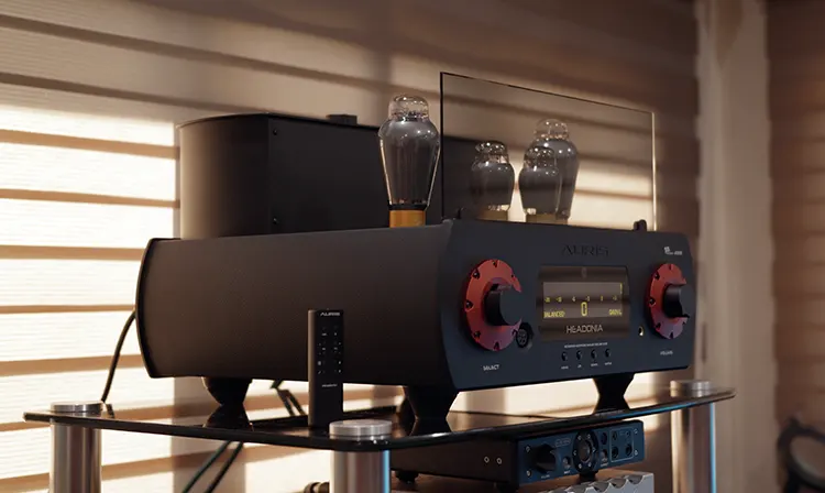 Auris Audio Headonia 300b at an angle on top of a glass rack