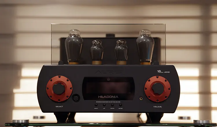 Auris Audio Headonia 300b front panel with glass guard