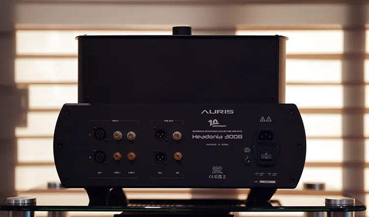 Auris Audio Headonia 300b rear panel