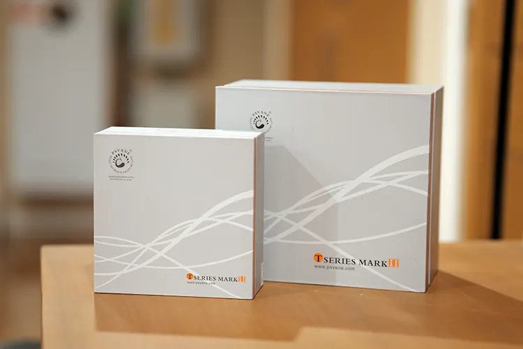 Auris Audio Headonia 300b tubes in their boxes