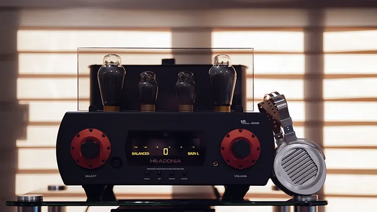 Auris Audio Headonia 300b with HIFIMAN Susvara Unveiled frontal view