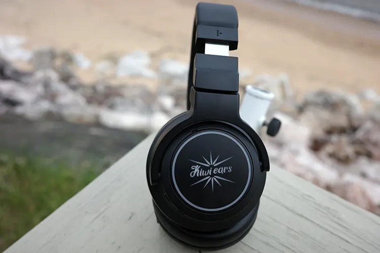 Kiwi Ears Aventus sitting upright