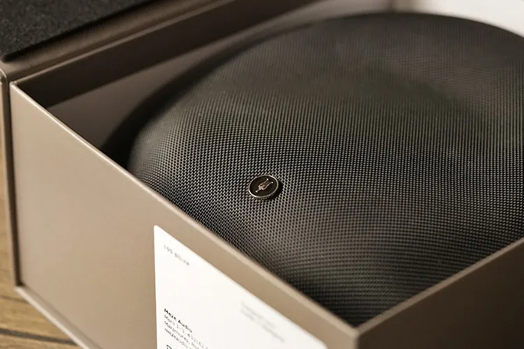 Meze Audio 105 SILVA carry case