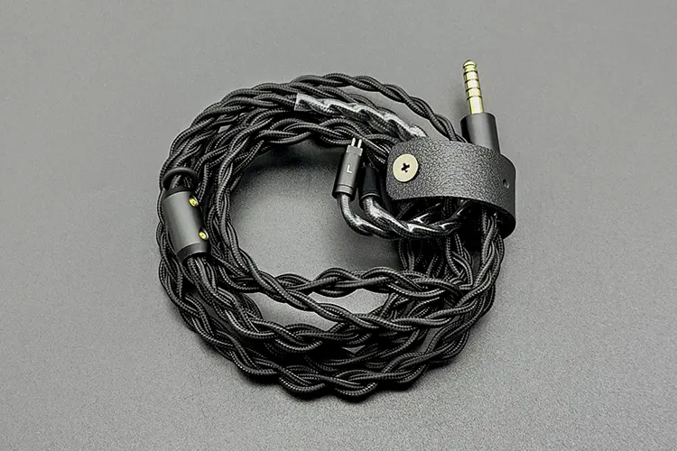 Moritz Audio ENZO stock cable