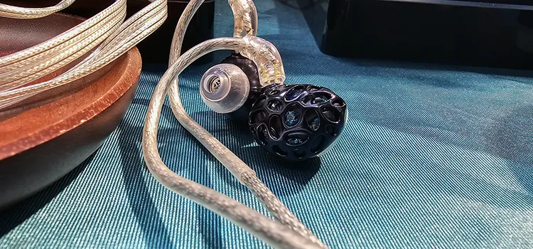 SIAS 2025 - TRN Whale Shark IEM
