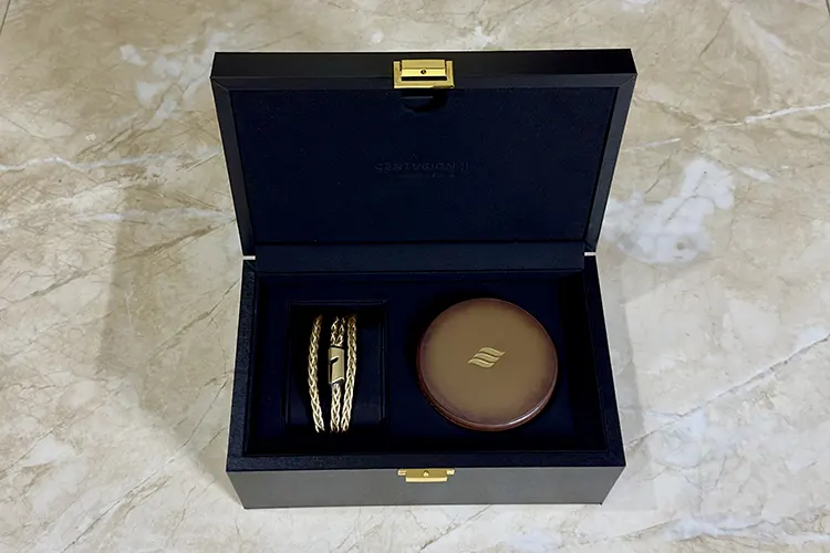 Effect Audio CENTURION II open box display