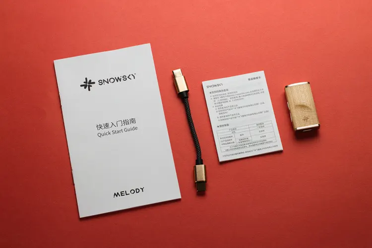 FiiO SNOWSKY Melody accessories