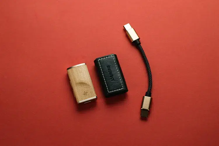 FiiO SNOWSKY Melody beside leather case and USB cable