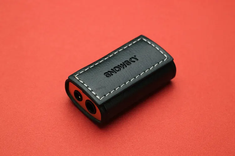 FiiO SNOWSKY Melody laying on ground in leather case