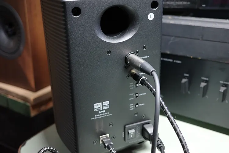 FiiO SP5 rear panel with XLR cable connection