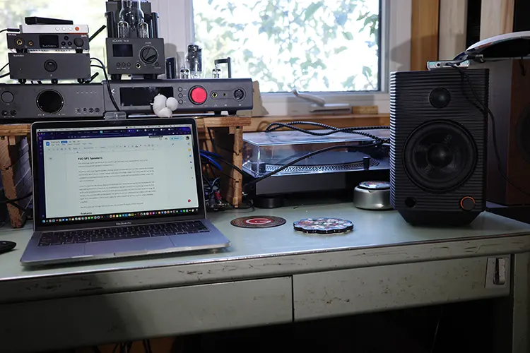 FiiO SP5 right speaker on a bench