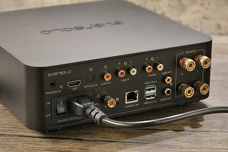 Eversolo Play rear panel