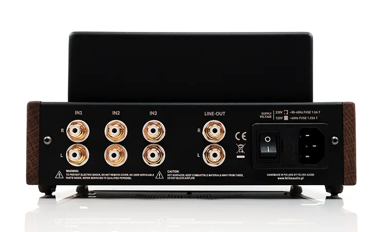 Feliks Audio Echo Vibe tube amp back panel
