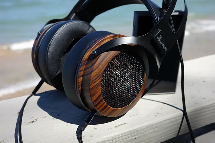 Kiwi Ears Altruva with a DAP behind it