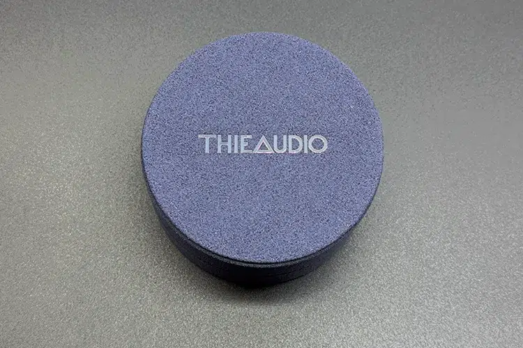 THIEAUDIO Monarch MKIV carry case