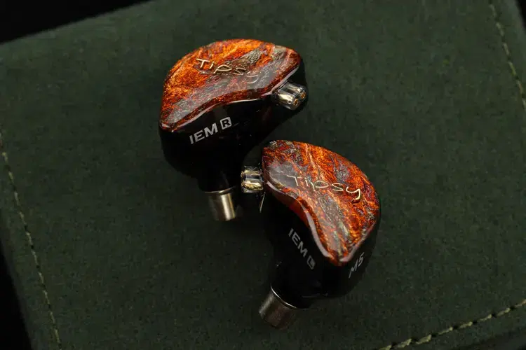 Tipsy M5 shells on green leather