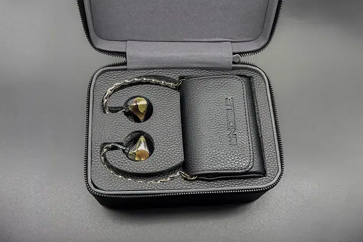 Noble Audio AGIS II carry case