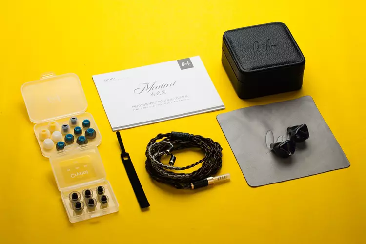 QoA Martini IEM accessories