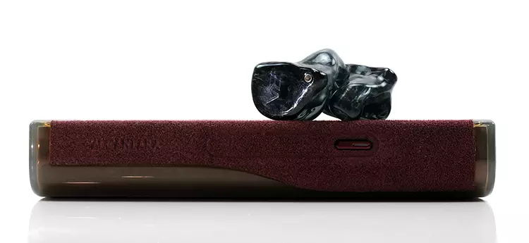 Vision Ears VE PRO shells on top of HiBy R8 II DAP