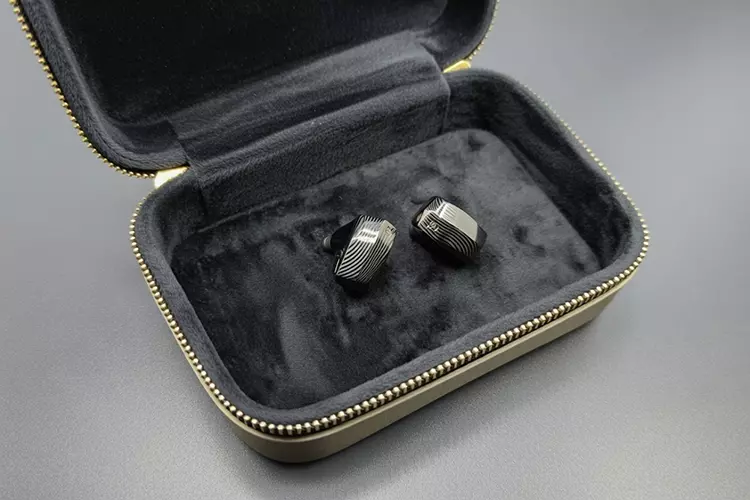 Campfire Audio Andromeda 10 inside open carry case