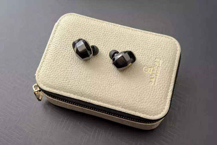 Campfire Audio Andromeda 10 shells on top of case