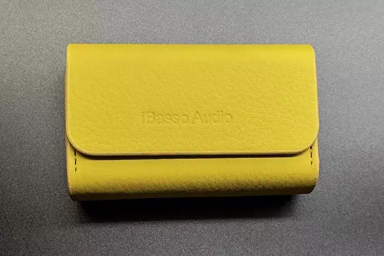 iBasso EPITOME carry case