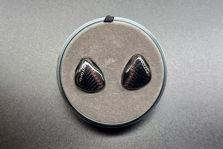 iBasso EPITOME shells in hard case