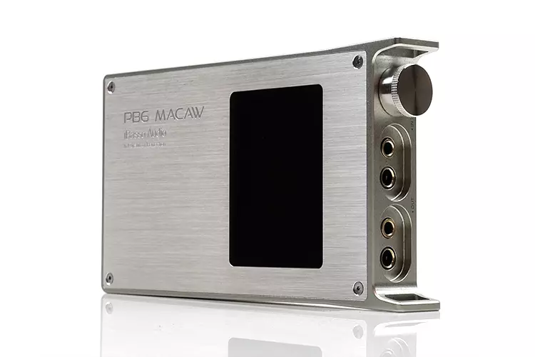 iBasso PB6 Macaw on its side facing forwards