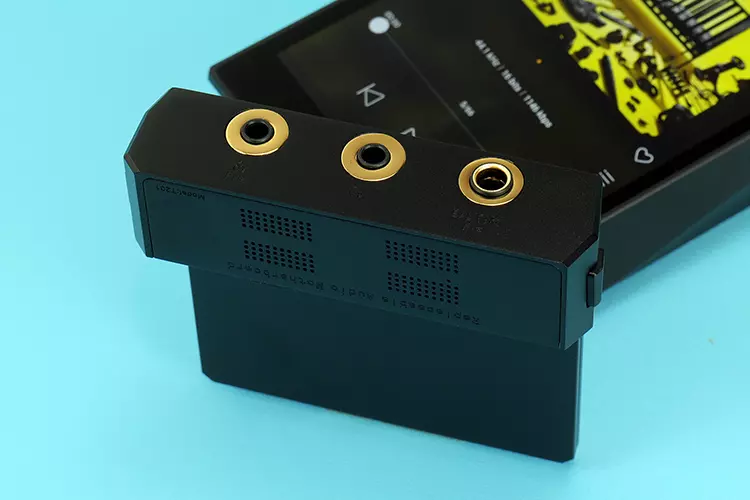 Cayin T201 input and output ports