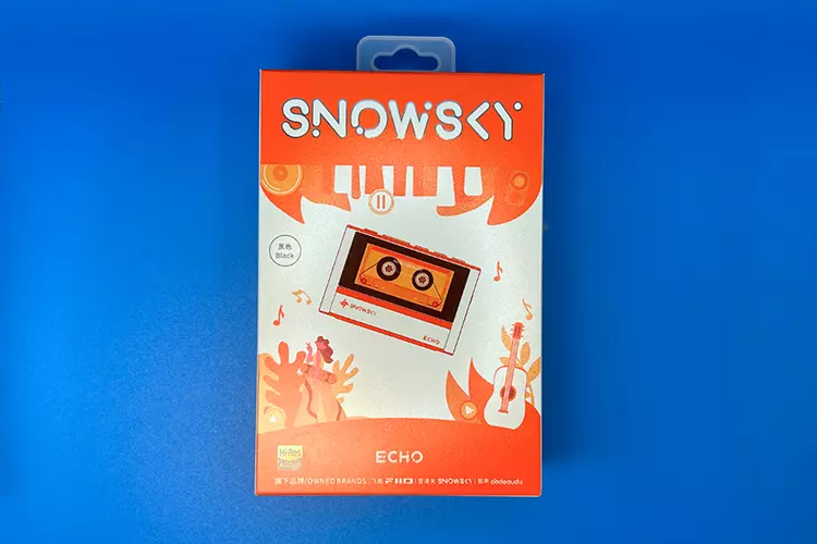 FiiO SNOWSKY ECHO box