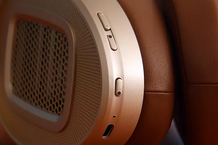 HIFIMAN HE1000 WiFi cup buttons