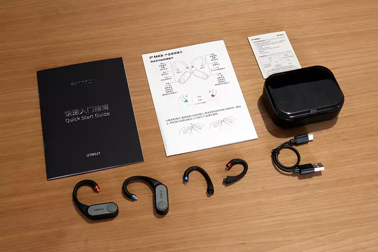 FiiO LINK TWS accessories