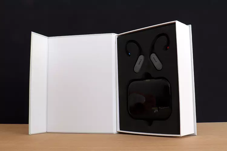 FiiO LINK TWS unboxing