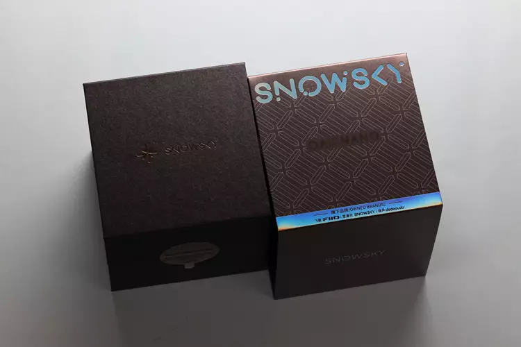 FiiO SNOWSKY OAK NANO box