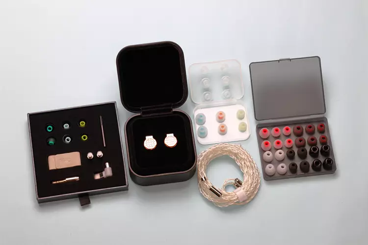 FiiO SNOWSKY OAK NANO ear tips