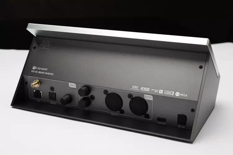 MUSE HiFi MUSE 300 rear panel