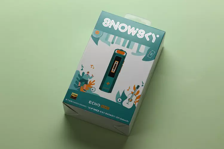 FiiO SNOWSKY ECHO NANO box
